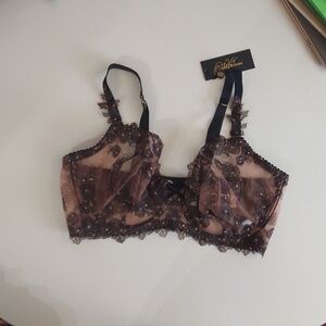 Dita von Teese Glambition bra 36F